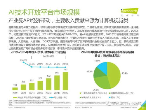 中国人工智能基础层行业报告2021 人工智能基础软件开发